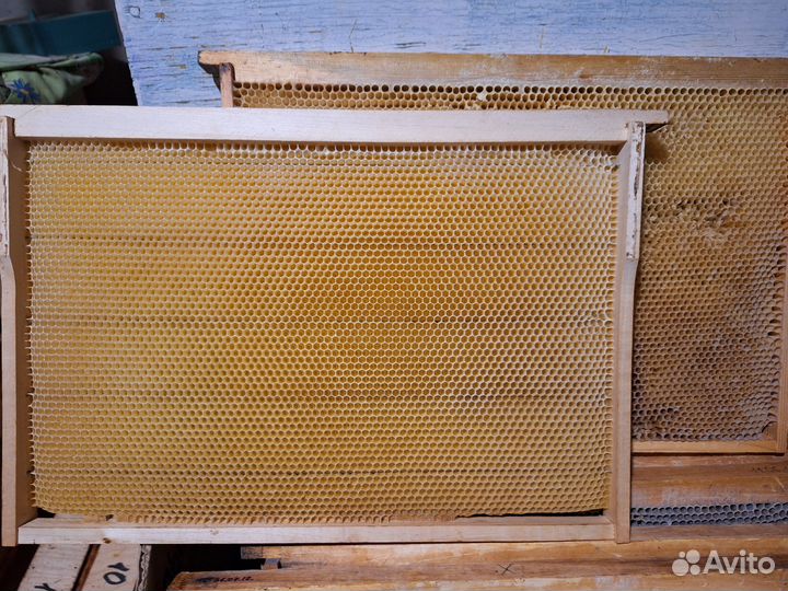 Сушь для пчёл на рамках Дадан