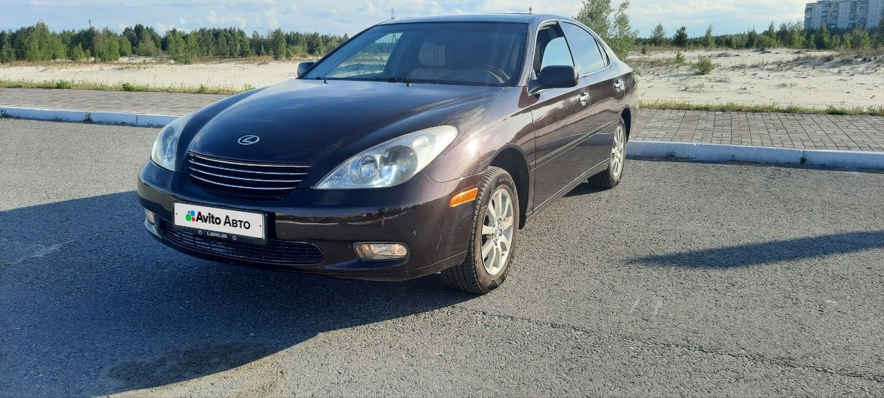 Lexus ES: фото владельца