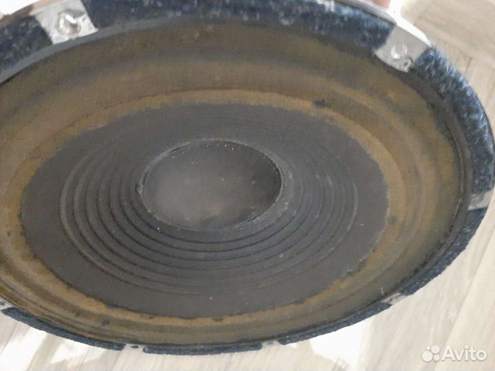 Динамики 75 гдн 3-2