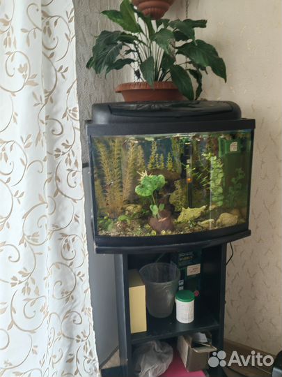Аквариум с тумбой