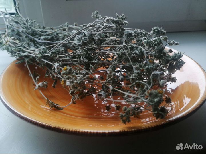 Лапчатка серебристая (горлянка) трава сушеная 50г