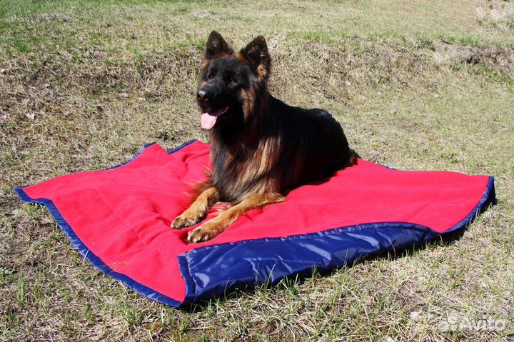 Коврик для животных