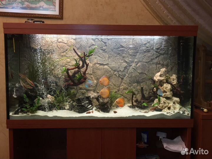 Аквариум 450 литров пластик абс вишня