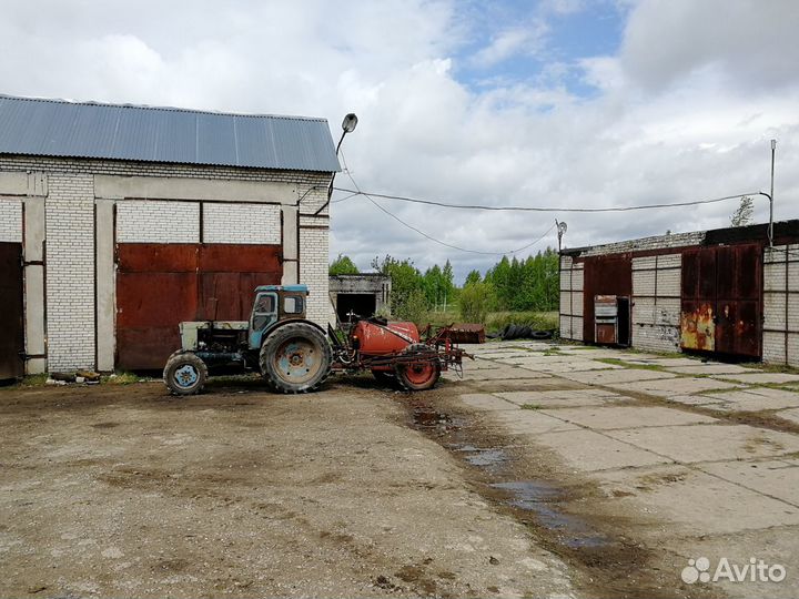 Сельскохозяйственное растениеводческое предприятие