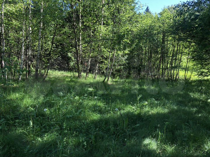 Участок 16 сот. (ИЖС)