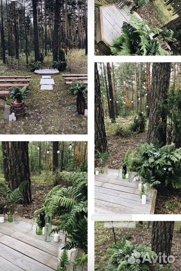 Свадебный организатор/координатор/постановка танца