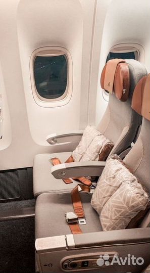 Билеты бизнес класса на самолет