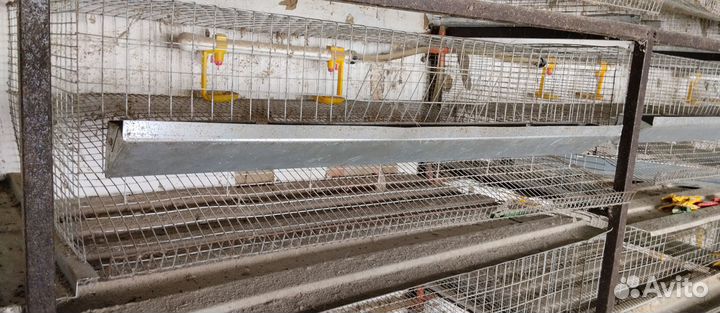 Перепелиные клетки