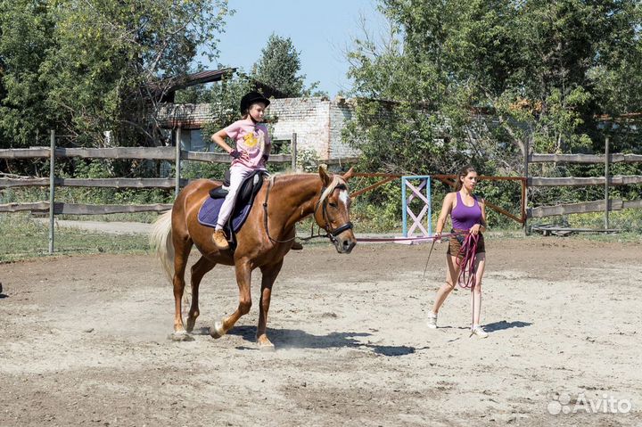 Конные прогулки, фотоссесии на лошади и пони