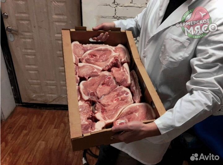 Мясо свинина