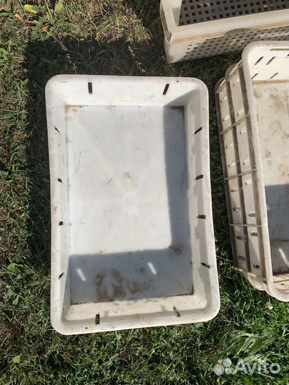 Пластиковые ящики для овощей и фруктов