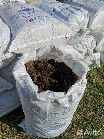 Конский чистый навоз