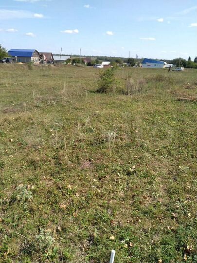 Участок 12,5 сот. (СНТ, ДНП)