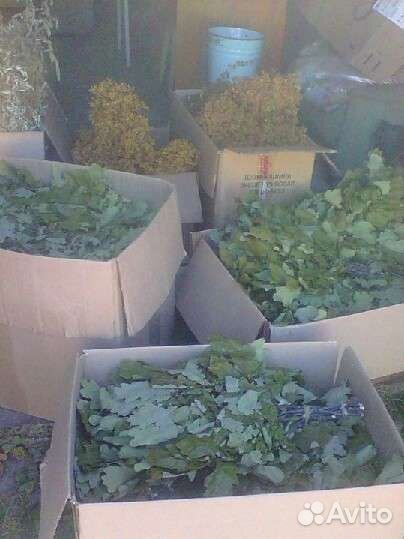 Продаю банные веники