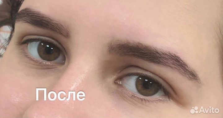 Мастер бровист