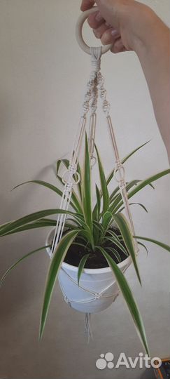 Кашпо для цветов подвесное макраме