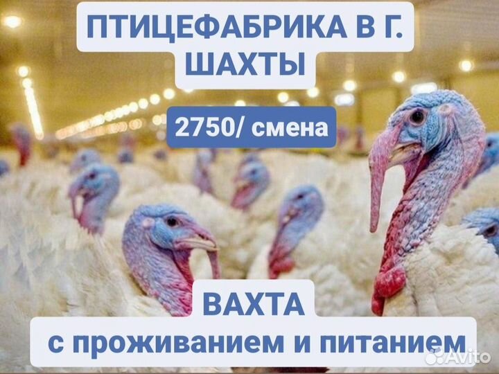 Обвальщик вахта отличные условия труда