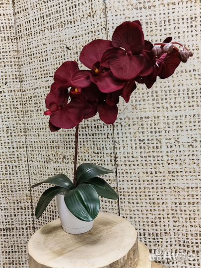 Орхидея красная искуственная