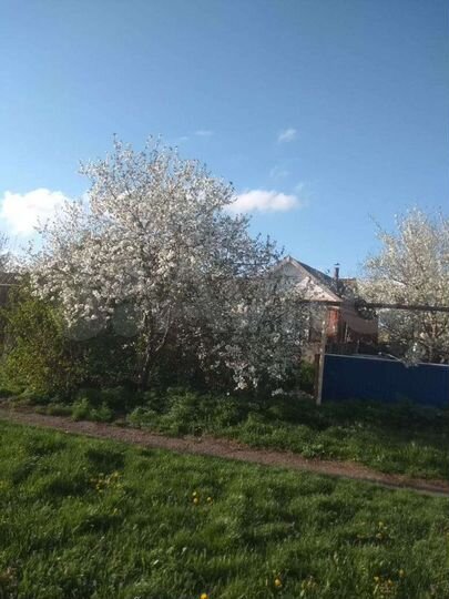 Дом 62 м² на участке 30 сот.