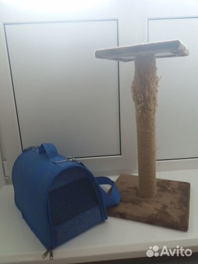 Принадлежности для кошки