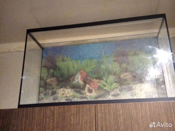 Аквариум