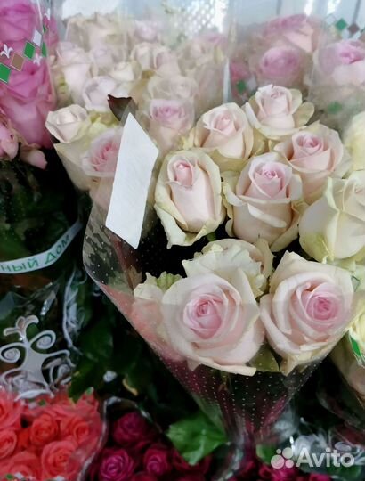 Букет цветов. Розы