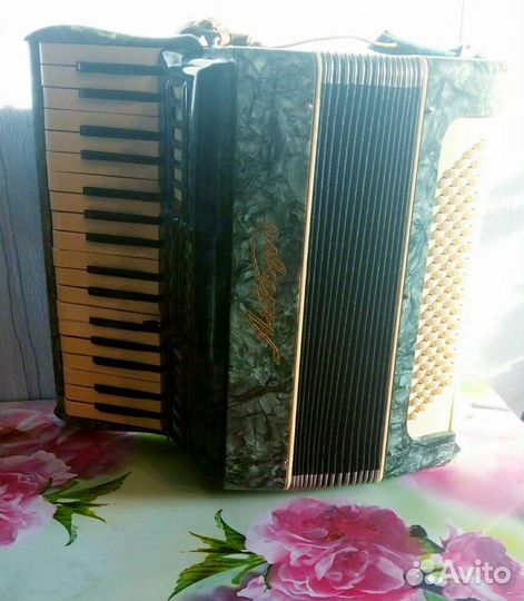 Аккордеон с футляром