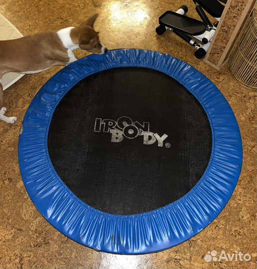 Батут Iron Body 8883TP-4 N/C (101 см)