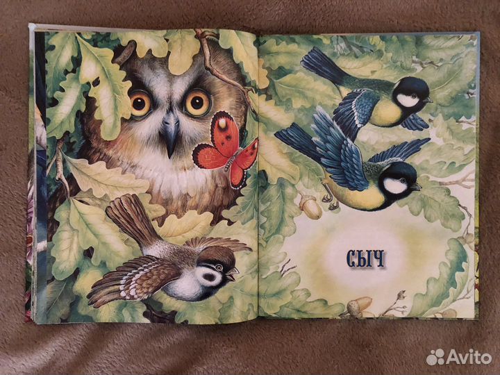 Детские книги, сказки и рассказы