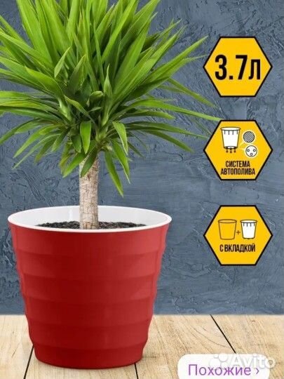 Цветочный горшок