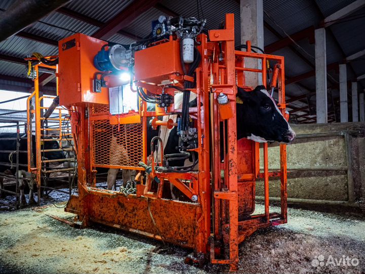 Станок для фиксации крс