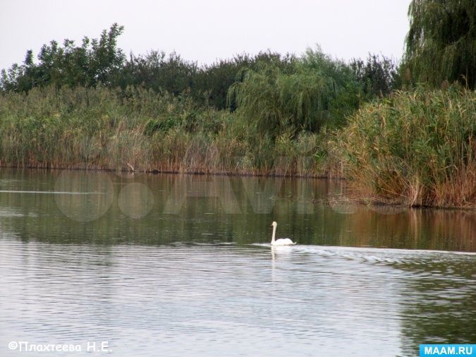 Участок 6,5 сот. (ИЖС)