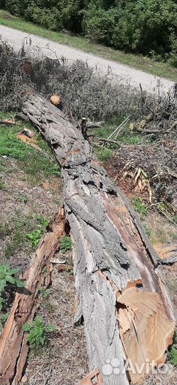 Дрова акации