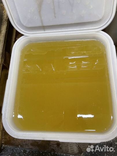 Натуральный мёд донниковый. 2023г. Опт