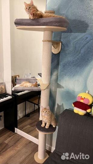 Настенная когтеточка домик для кошки