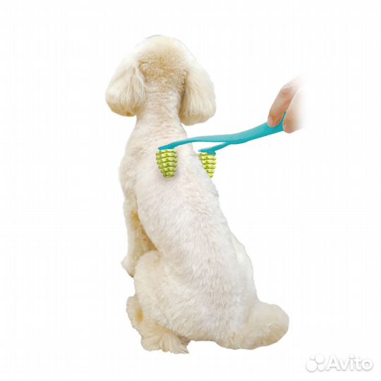 Игрушка массажная для собак, 1 штука