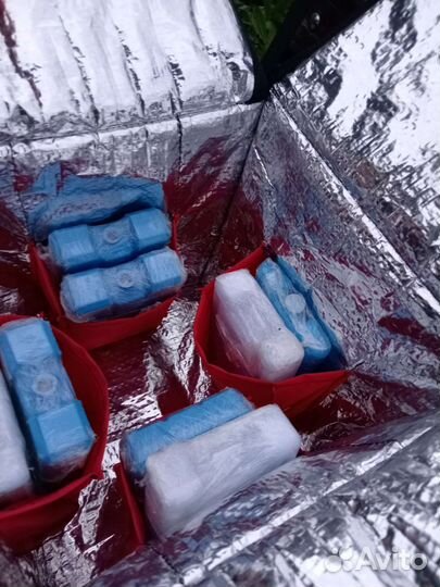 Термосумка для горячей еды+хладогены для напитков