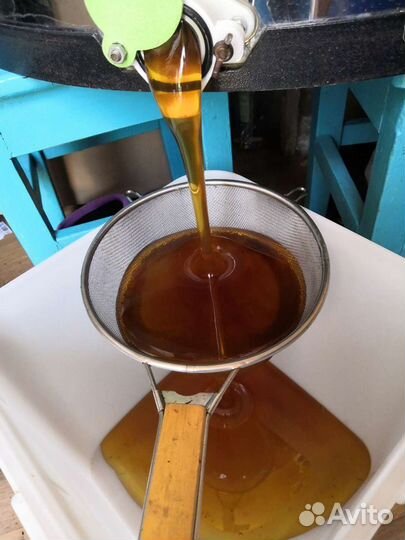 Мёд, мед урожай 2022 года