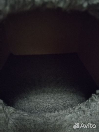 Когтеточка