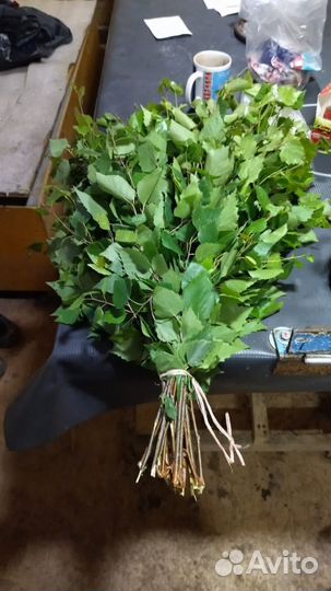 Веники для бани дуб береза крапива пихта