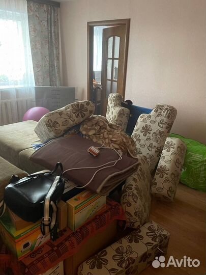 Потравить клопов и тараканов