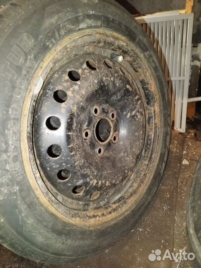 Tigar Sigura Stud 205/55 R16