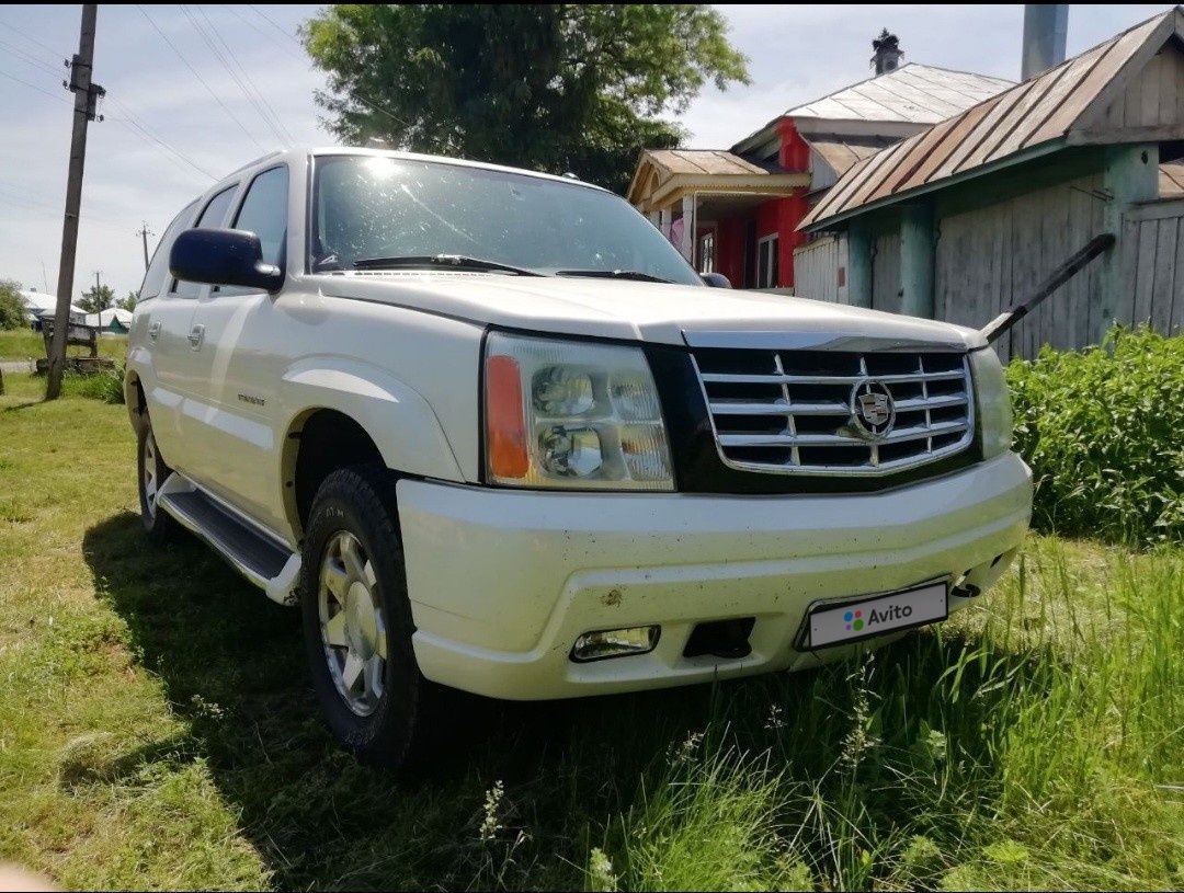 Cadillac Escalade: фото владельца