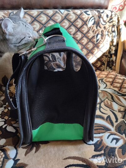 Кошачья переноска и лоток