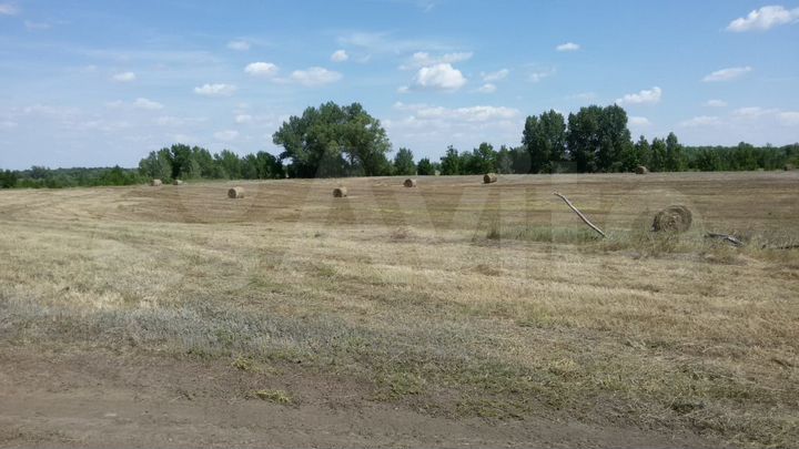 Участок 22 га (СНТ, ДНП)