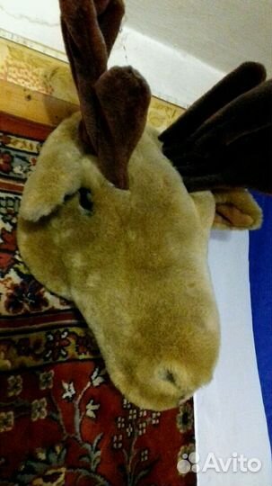 Голова лося