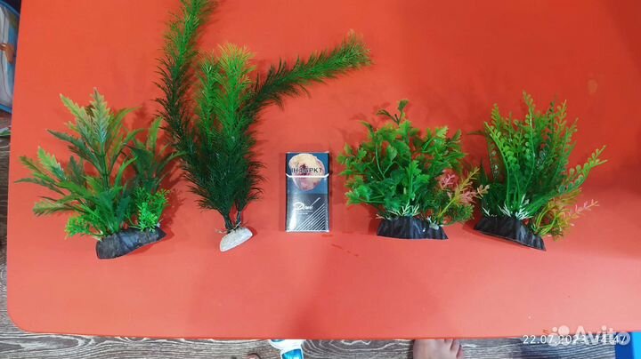 Для аквариума