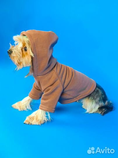 Толстовка без начеса для собак и кошек