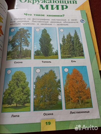 Окружающий мир 1 класс 1 часть учебник плешаков