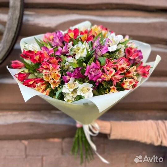 Альстромерия микс 31 шт